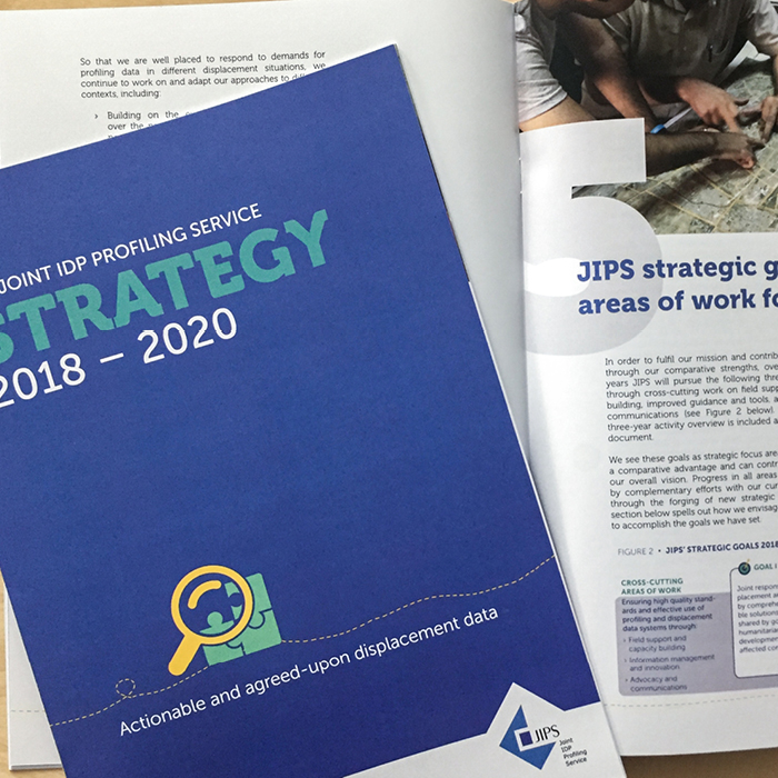 Strategy - JIPS - Joint IDP Profiling Service