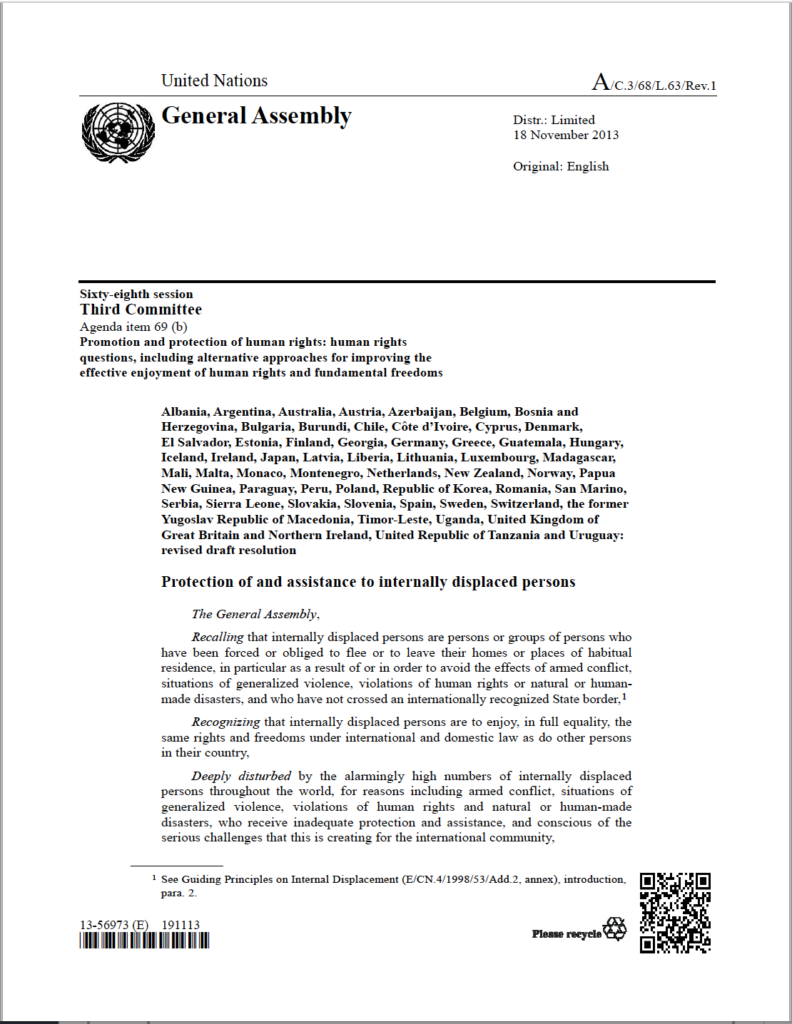 UN General Assembly Resolution (2013, A/C.3/68/L.63/Rev.1)