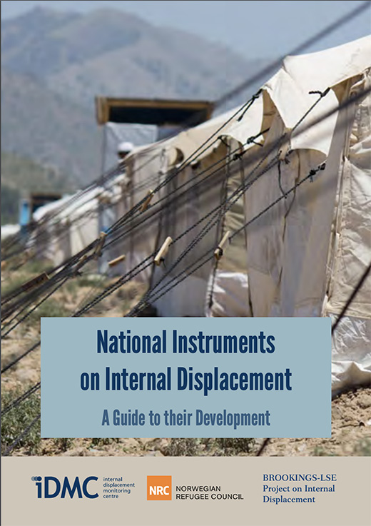 National Instruments on Internal Displacement: A Guide to their Development (IDMC, NRC, Brookings Institute; 2013)