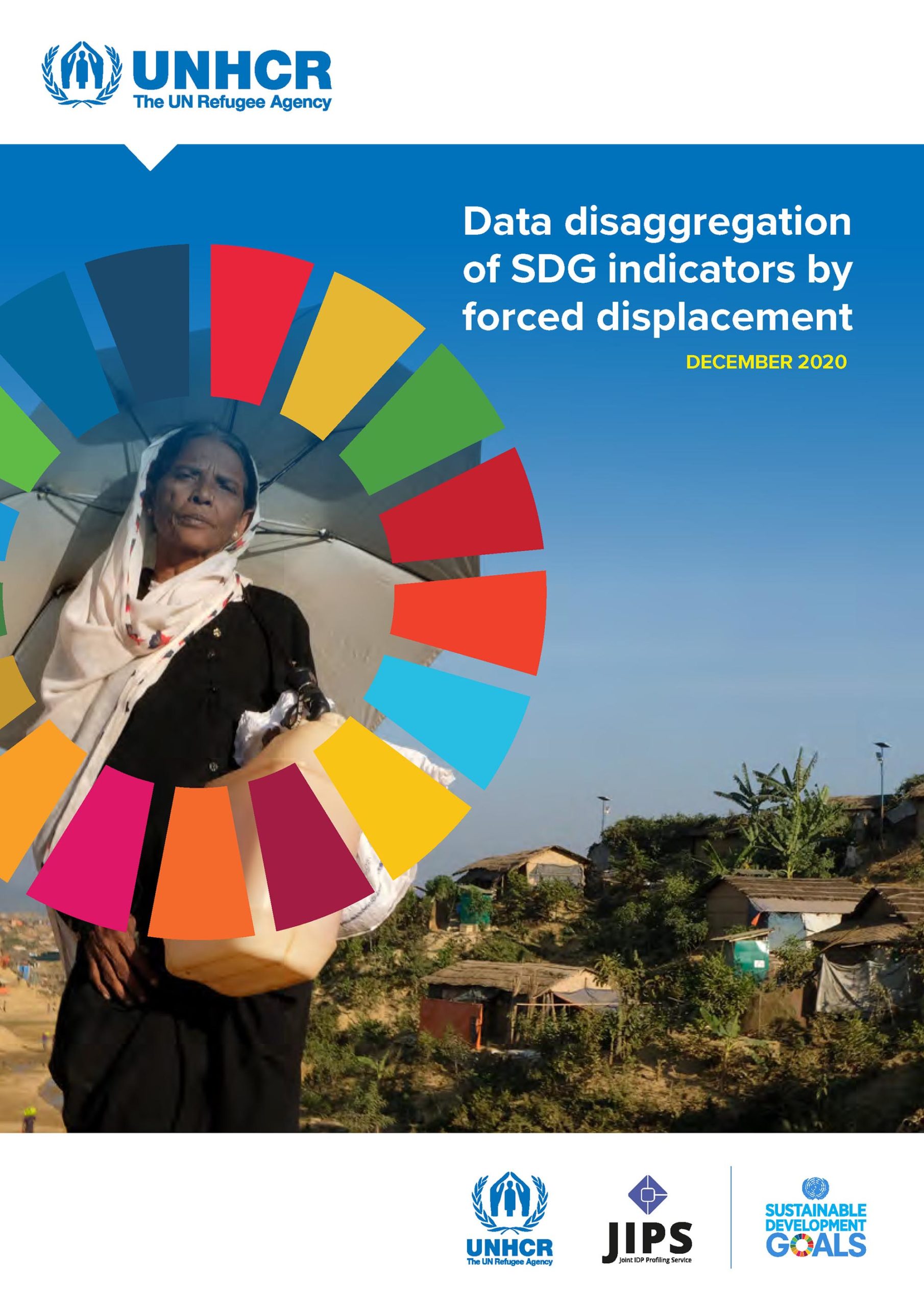 Data Disaggregation of SDG Indicators by Forced Displacement (UNHCR ...