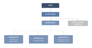 EGRIS’ governance structure as of January 2021.
